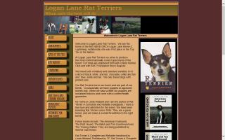 Logan Lane Rat Terriers