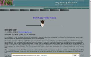Surry Acres Toy Rat Terriers
