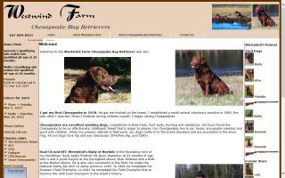 Westwind Farm Chesapeake Bay Retrievers