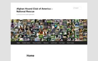 Afghan Hound Club of America Rescue - AHCA Rescue