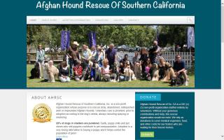 Afghan Hound Rescue of Southern California - AHRSC