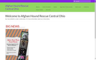 Afghan Hound Rescue Central Ohio - AHRCO