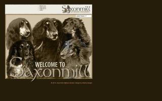 Saxonmill Afghan Hounds