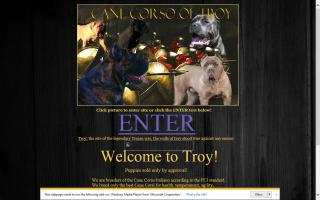 Cane Corsos of Troy