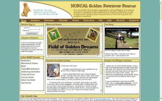 NORCAL Golden Retriever Rescue - NGRR