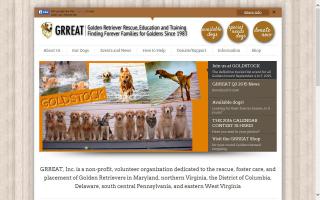 Golden Retriever Rescue, Education and Training - GRREAT