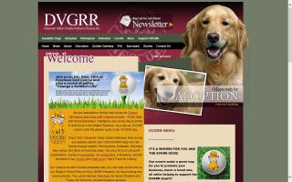 Delaware Valley Golden Retriever Rescue - DVGRR