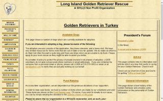 Long Island Golden Retriever Rescue - LIGRR