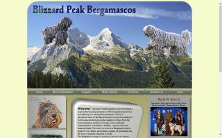 Blizzard Peak Bergamascos