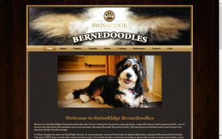 Bernedoodles