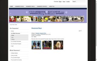 Clearbrook Havanese