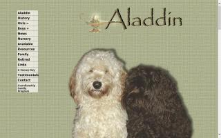 Aladdin Australian Labradoodles