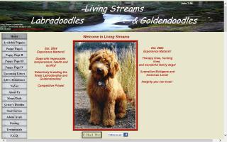 Living Streams Labradoodles