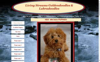 Living Streams Goldendoodles