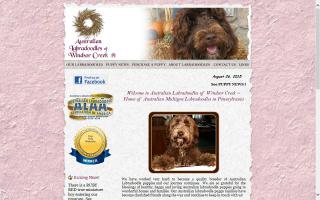 Australian Labradoodles of Windsor Creek