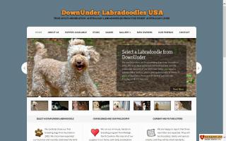 DownUnder Labradoodles, USA