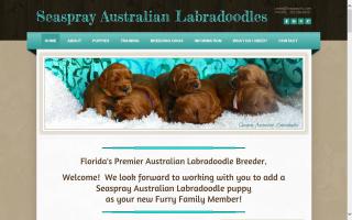 Seaspray Australian Labradoodles