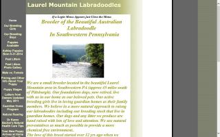Laurel Mountain Labradoodles