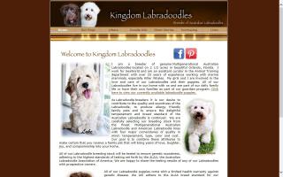 Kingdom Labradoodles