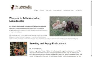 Tallai Australian Labradoodles