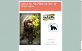 Nutmeg Labradoodles