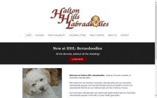 Halton Hills Labradoodles