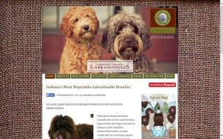 Colonial Village Labradoodles