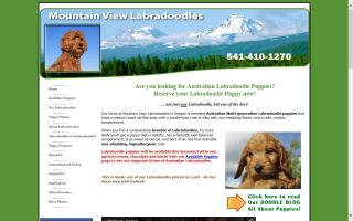 Mountain View Labradoodles