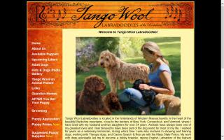 Tango Wool Labradoodles