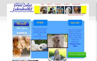 Great Lakes Labradoodles