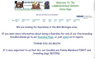 Miniature Medium and Standard F1b Family Raised Labradoodles