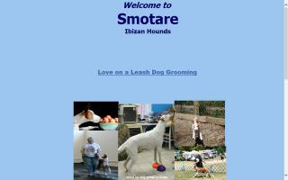 Smotare Ibizan Hounds