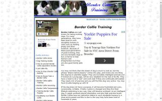 Border Collie Resource