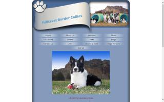 Hillcrest Border Collies