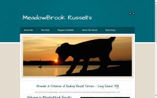 Meadow Brook JRTerriers