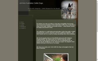 JonVers Australian Cattle Dogs