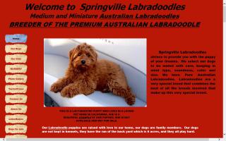 Springville Labradoodles