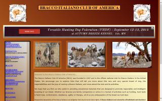 Bracco Italiano Club of America - BICA