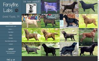 Forsythe Labradors