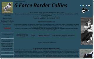 G Force Border Collies