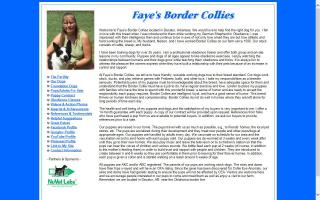 Fayes Border Collies