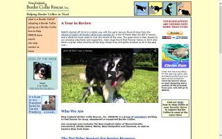 New England Border Collie Rescue - NEBCR