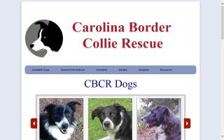 Carolina Border Collie Rescue