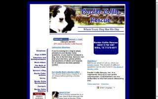 Border Collie Rescue