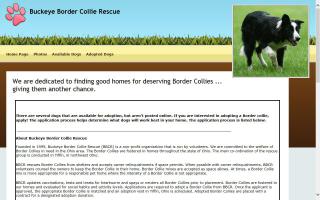 Buckeye Border Collie Rescue