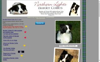 Northern Lights Border Collies