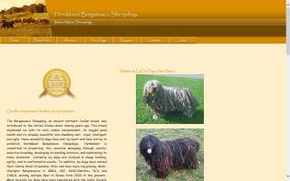 Herdabout Bergamasco Sheepdogs