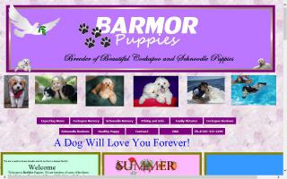 BarMor's Puppies