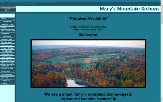 Mary's Mountain Bichons