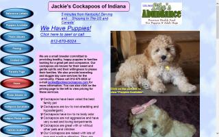 Jackie's Cockapoos of Indiana